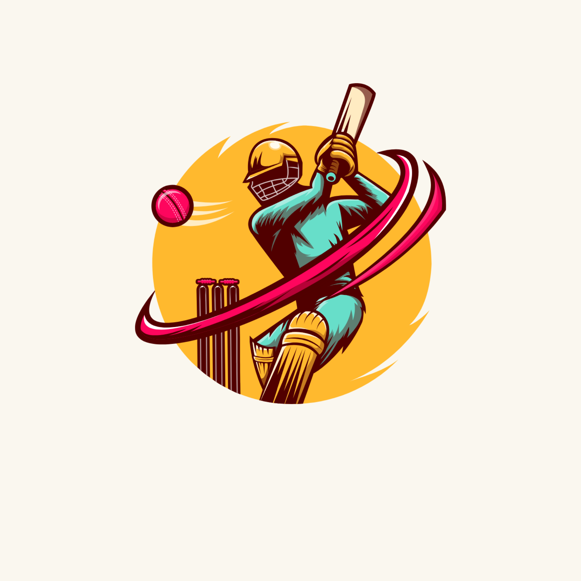 IPL cricket match